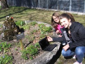 Dejavnosti biološkega krožka 1